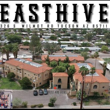 East Hive Gallery
